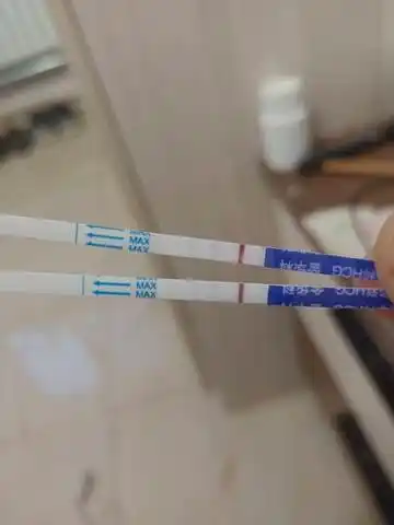 今天早上用试纸试了一下,这样到底怀没怀孕呢