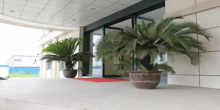 入户门植物摆放注意事项