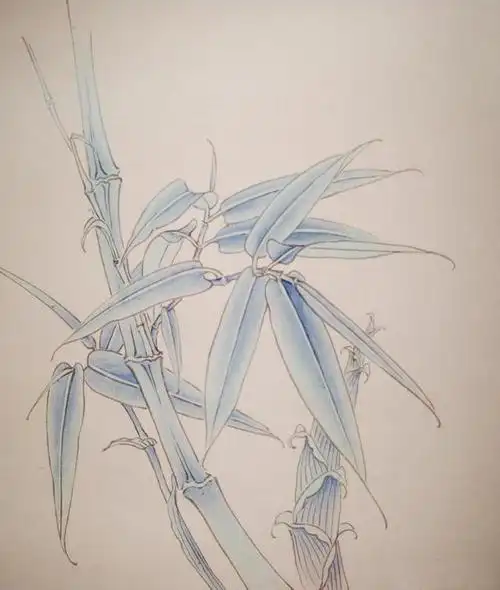 工笔画竹子白描(工笔画竹步骤)(3)
