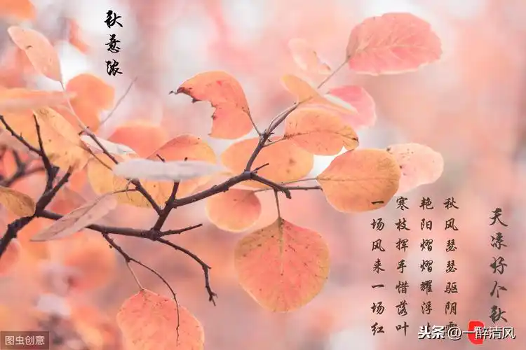 诗情画意的句子唯美古风洒脱有意境的句子