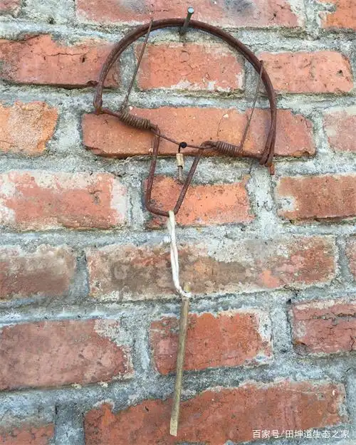 这个不是游戏,这个是一种捕鸟工具,在我小的时候家里面有,不知道你们