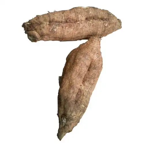 粉葛新鲜广西藤县和平农产品蔬菜水果柴葛根煲汤佳品葛根