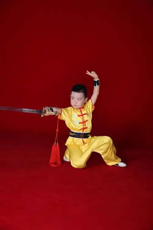 唐子藤武术训练情况汇报