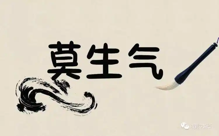 莫生气就是不生气