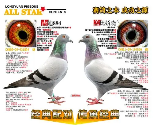 盖比经典配对回血