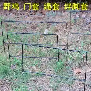 竹鸡的工具
