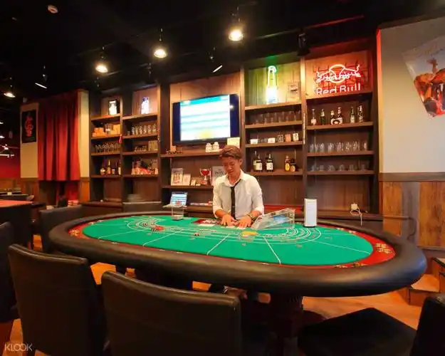 六本木娱乐赌场,日本娱乐赌场