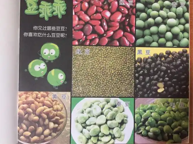 豆乖乖—豆豆镶嵌画!