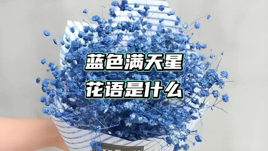 蓝色满天星花语代表什么意思?