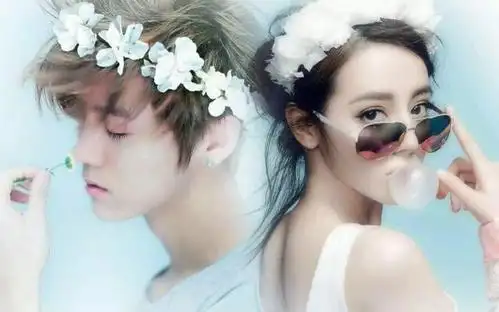 陆地夫妇吧来源?