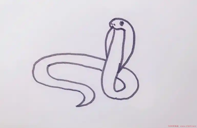 眼镜蛇简笔画眼镜蛇怎么画图片