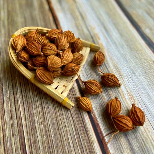 香砂50g沙仁烧菜炖肉佐料卤菜麻辣烫火锅香料花椒