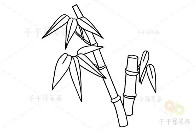 树叶做竹子简笔画