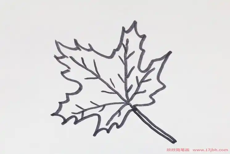 梧桐叶简笔画