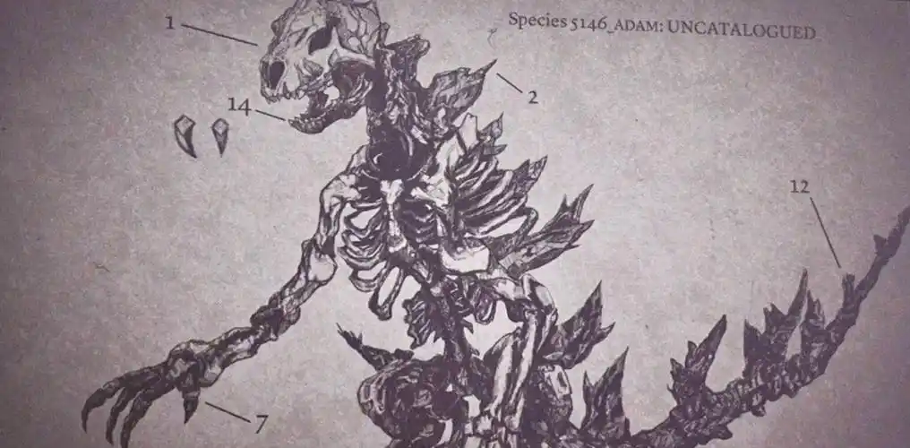 解密《哥斯拉》为什么穆托会是哥斯拉的天敌?