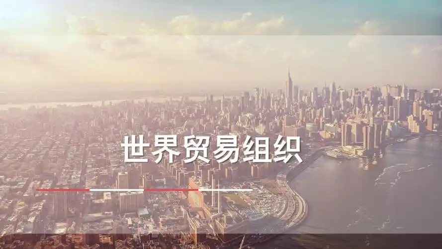 2-3世界贸易组织wtoppt