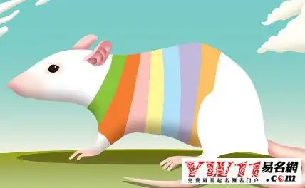 72年属什么1972年属什么生肖年