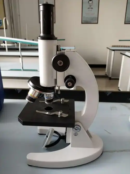 【马蹄莲中学】生物课堂——探索显微镜下的微观世界