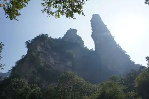 神鹰护鞭~~~左边的是神鹰,右边是鞭.