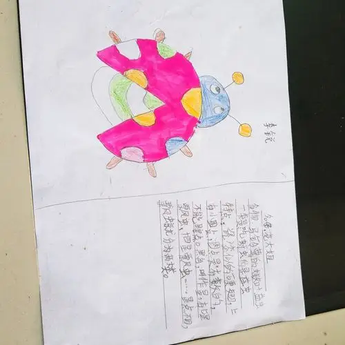 三(2)班 写绘《昆虫备忘录》