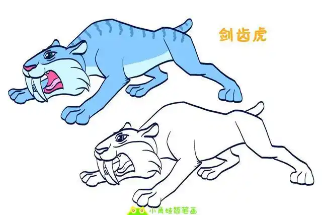 剑齿虎介绍,剑齿虎和老虎简笔画