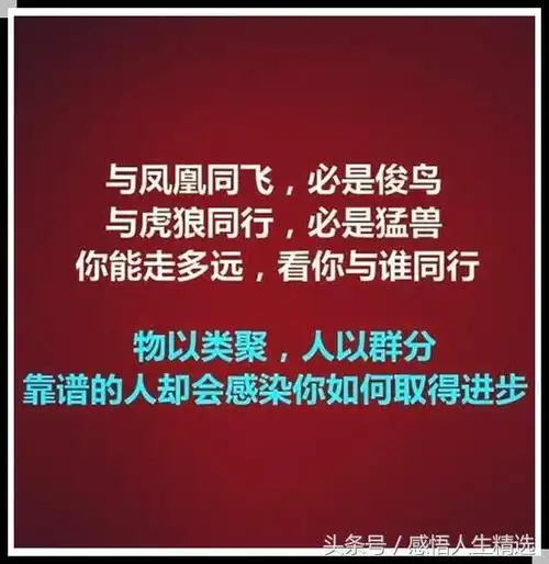 圈子不同不必强融