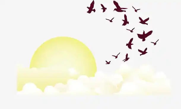 卡通鸟群矢量图下载