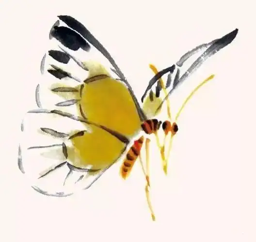 【国画教程】六种写意蝴蝶画法