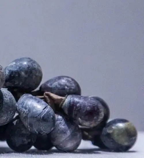 这串北宋时期的"烂葡萄"没有变质,历史痕迹让它变得尤为逼真!