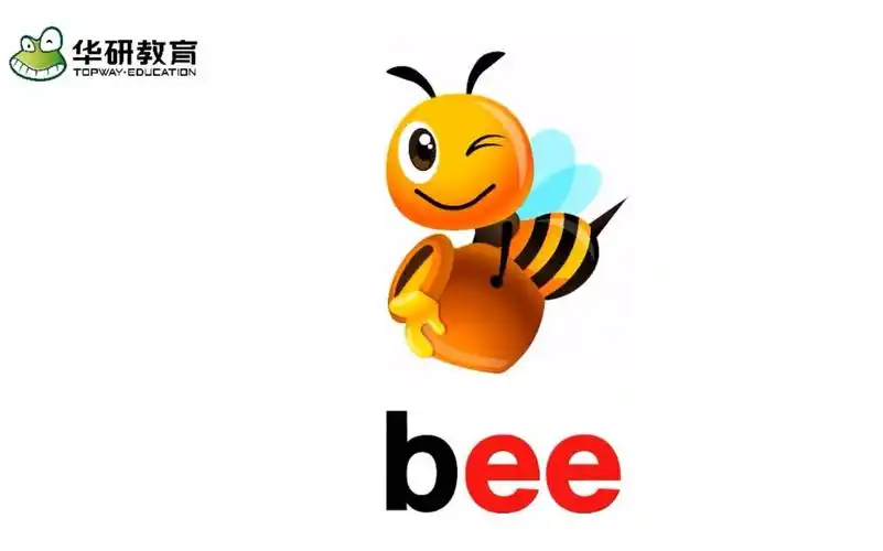 【零基础英语】phonics自然拼读字母组合ee发音动画视频
