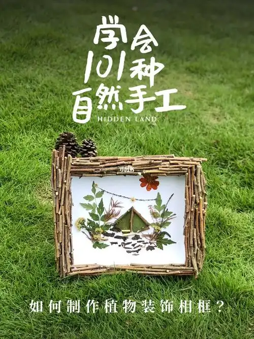 学会101种自然手工如何制作植物装饰相框