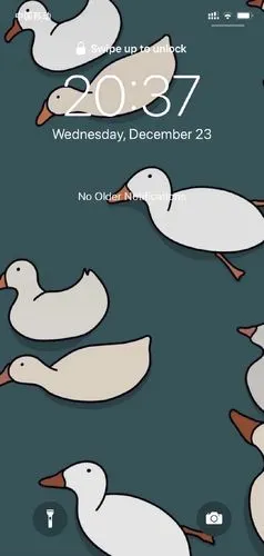 求这个鸭鸭壁纸谢谢