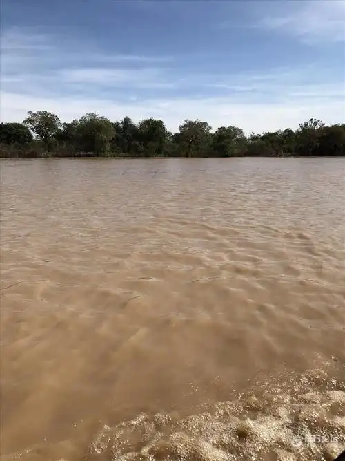 湖水很浑浊
