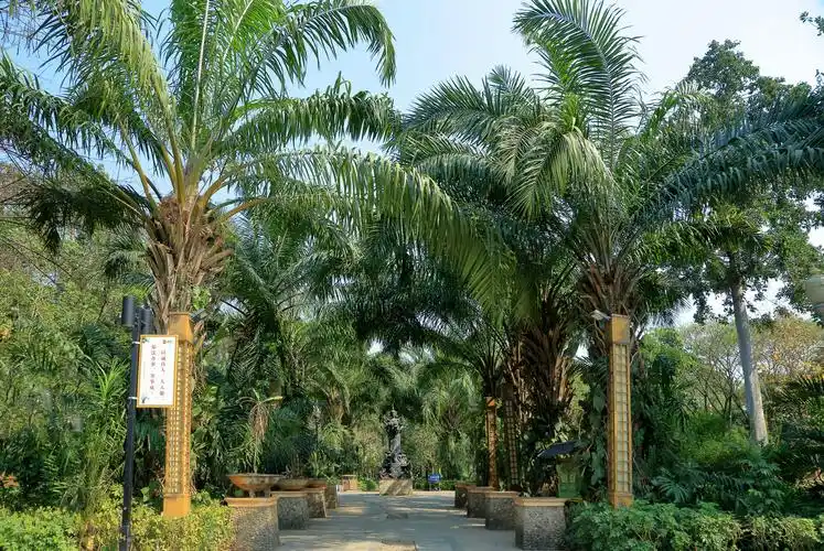 云南. 西双版纳--滨江公园