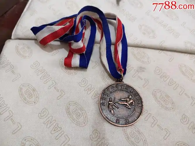 2016北京市中小学生跆拳道比赛奖牌