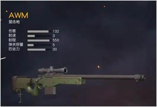 全名:李·恩费尔德awm/p狙击步枪,单发最狠的狙击步枪,世界前5名的