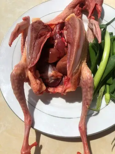 天贝新鲜乳鸽杂粮喂养土鸽子活体现杀鸽子肉生鲜煲汤滋补2只包邮