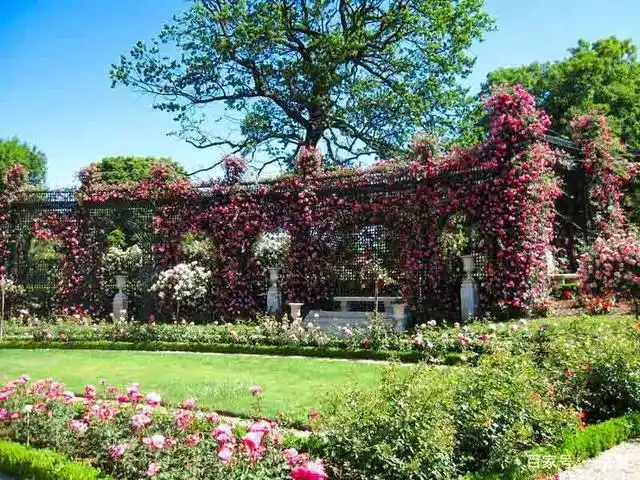 巴黎南郊的这座玫瑰园,带你进入唯美浪漫的法式童话世界