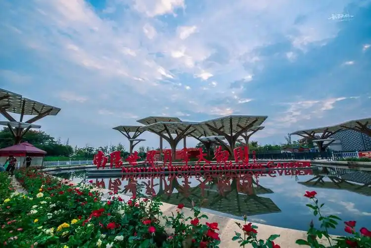 一顾惊艳盛世船情游园会:南阳世界月季大观园与您相约国庆游