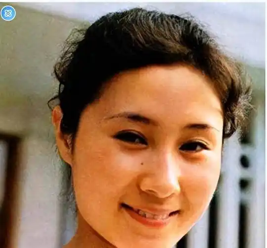 "牧羊女"丁岚的悲哀:自毁前程弃国籍,59岁无儿无女,她后悔吗_李连杰