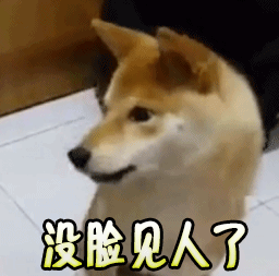 没脸见人了gif害羞gif狗gif