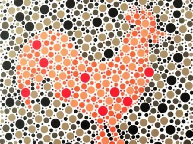 想要考驾驶证先自测一下是不是色盲吧图中的牛能看到吗