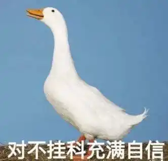 对不挂科充满信心(鸭鸭)_挂科_充满信心表情