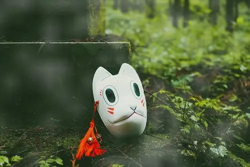 萤火之森(熊本高森町-上色见熊野座神社)上篇