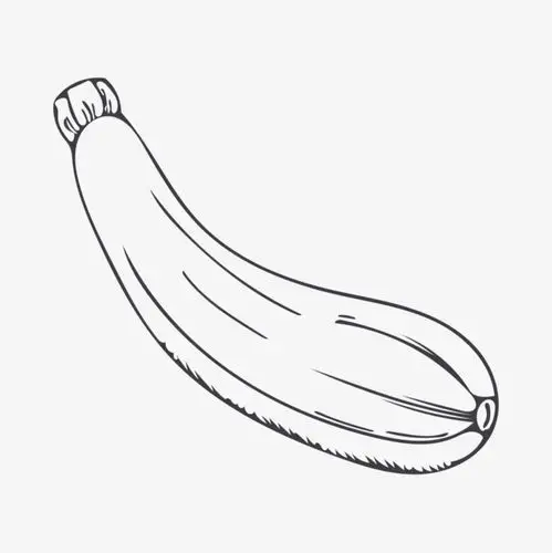 茶叶线描线描西葫芦