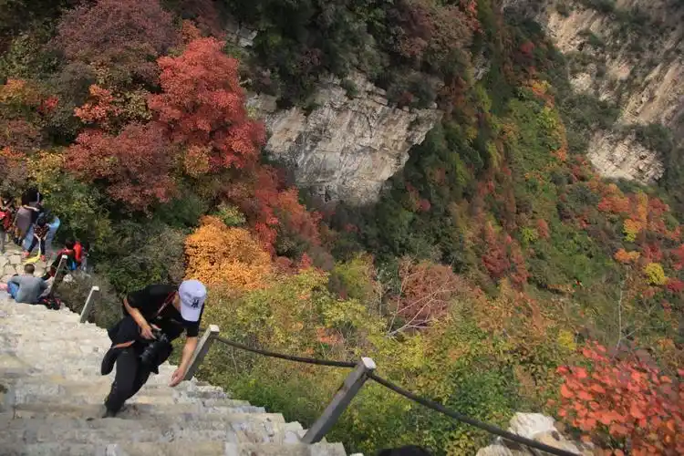 平山瑜伽山红叶2017