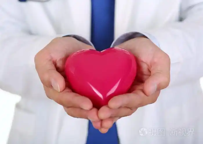 男性医学医生手里拿着红色的玩具的心