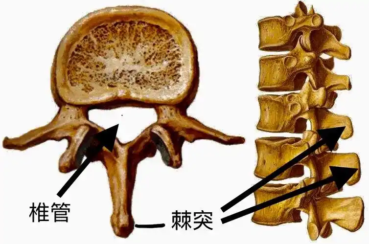 医生的倾家荡产