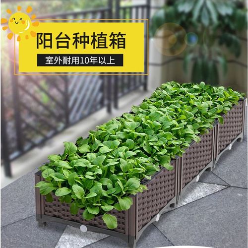 种植箱种菜神器家庭阳台楼顶种菜专用盆专用箱玫瑰花盆月季花盆