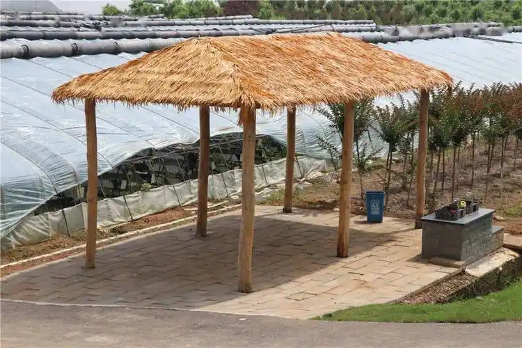 天门这个地方再添新景.